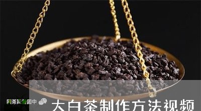 大白茶制作方法视频/2023071611725