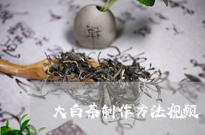 大白茶制作方法视频/2023121881615