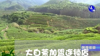 大白茶加盟连锁店/2023061693936