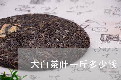 大白茶叶一斤多少钱/2023121823515