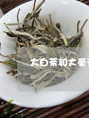 大白茶和大毫茶区别/2023081418261