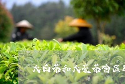 大白茶和大毫茶啥区别/2023092866158