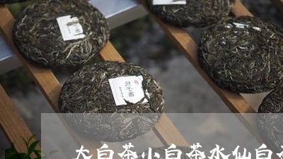 大白茶小白茶水仙白茶/2023092872604