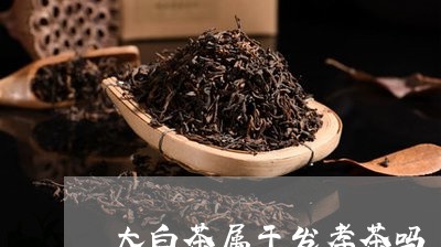 大白茶属于发孝茶吗/2023071617170