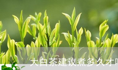 大白茶建议煮多久才喝完/2023101607956