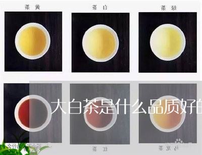 大白茶是什么品质好的茶/2023082673827