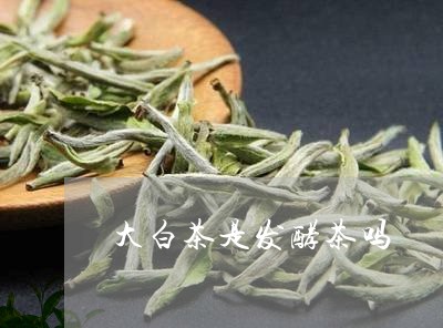 大白茶是发酵茶吗/2023061679581