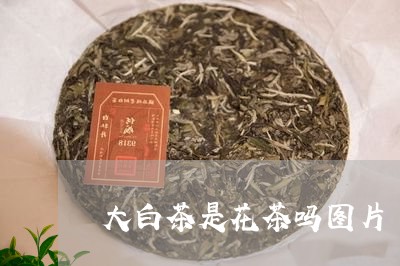 大白茶是花茶吗图片/2023081470503