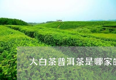 大白茶普洱茶是哪家的/2023082788303