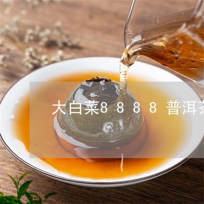 大白菜8888普洱茶/2023100694169