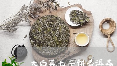 大白菜七子饼普洱茶/2023112466057