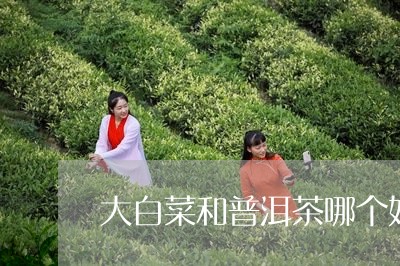 大白菜和普洱茶哪个好/2023072314727