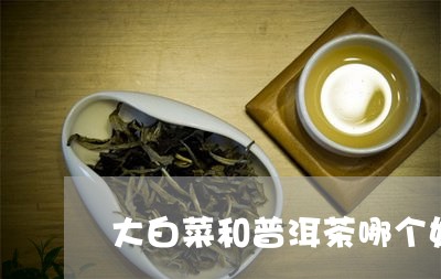 大白菜和普洱茶哪个好/2023092835361