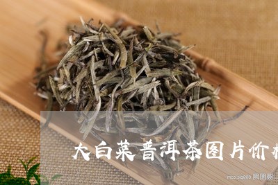 大白菜普洱茶图片价格/2023072232716