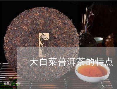 大白菜普洱茶的特点/2023091514835