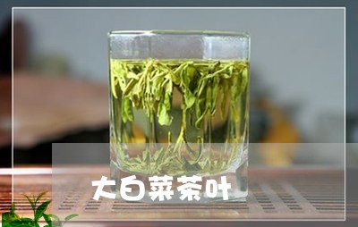 大白菜茶叶/2023041890442