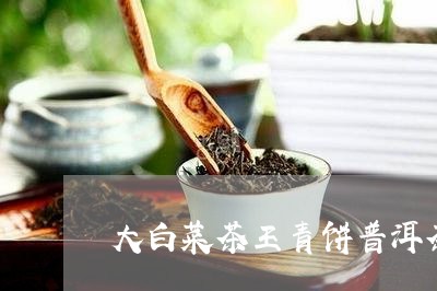 大白菜茶王青饼普洱茶青饼是什么/2023060283826