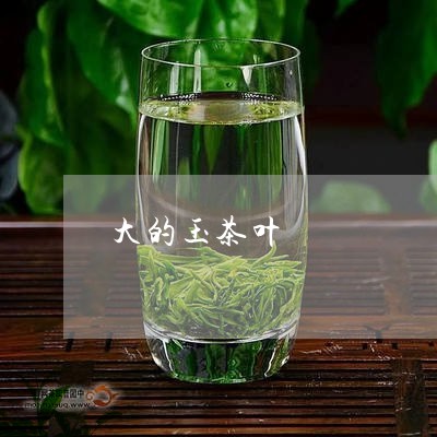 大的玉茶叶/2023041899976