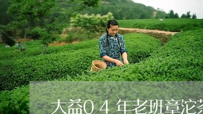 大益04年老班章沱茶/2023092471535