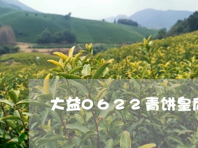 大益0622青饼皇后/2023071638371