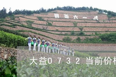 大益0732当前价格/2023061017147