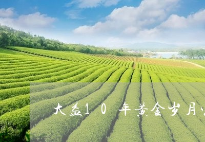 大益10年黄金岁月生茶价格/2023052682714