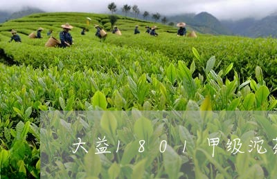 大益1801甲级沱茶/2023071634826