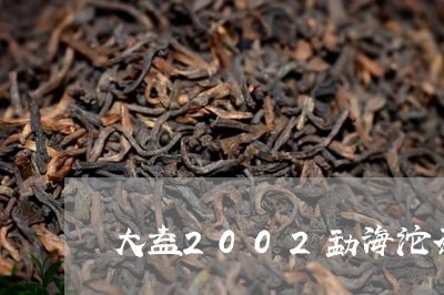 大益2002勐海沱茶/2023071633837