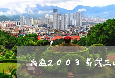 大益2003易武正山/2023092384937