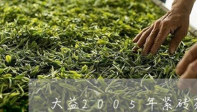 大益2005年紧砖茶/2023071632625