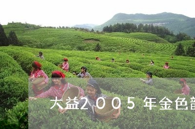 大益2005年金色韵象400g/2023060164717