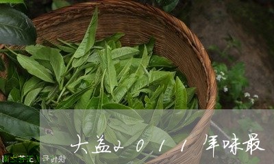 大益2011年味最酽/2023061066485