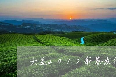 大益2017新茶发行/2023092140482