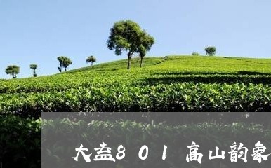 大益801高山韵象熟/2023071695270