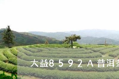 大益8592A普洱茶/2023062082724