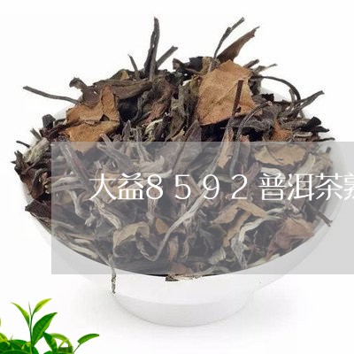 大益8592普洱茶熟茶价格/2023082904141