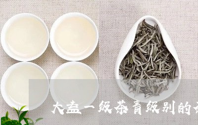 大益一级茶青级别的茶/2023061094947