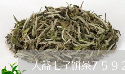 大益七子饼茶7592什么意思/2023053134057