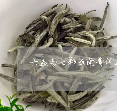 大益与七彩云南普洱茶/2023061576040