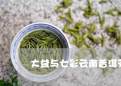 大益与七彩云南普洱茶/2023092760726