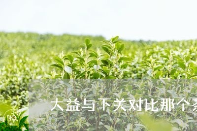 大益与下关对比那个茶叶场质量好/2023060369681