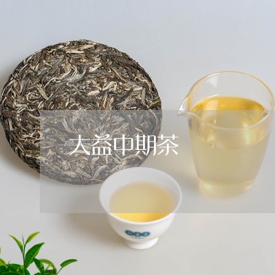 大益中期茶/2023041754305