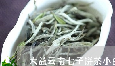 大益云南七子饼茶小白菜价格/2023052796271