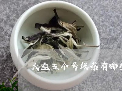 大益五个号级茶有哪些/2023092190470