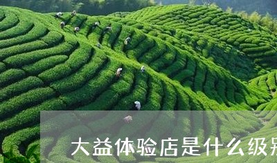 大益体验店是什么级别/2023061038370