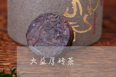 大益厚砖茶/2023090246049