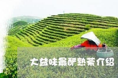 大益味最酽熟茶介绍/2023042564158