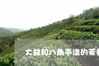 大益和八角亭谁的茶好/2023092132815