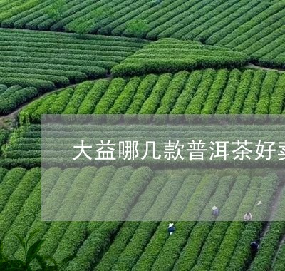 大益哪几款普洱茶好卖点/2023081467068