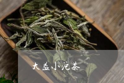 大益小沱茶/2023041711069